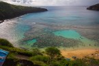 The Hanauma Bay was formed by a Tuff Cone that evenutally settled enough into the Sea that the waters broke through and created the Bay.